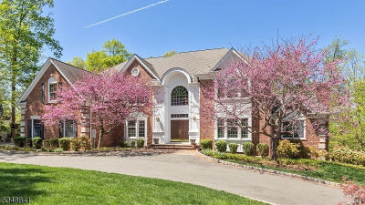 2 Willow Woods Trl Warren, NJ 07059