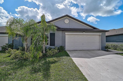 5472 Blue Azure Dr Wimauma, FL 33598