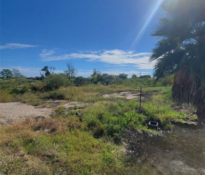 7005 Schlitz Ln Hitchcock, TX 77563