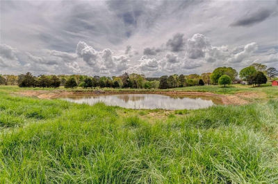 0 Collard Valley Rd Cedartown, GA 30125