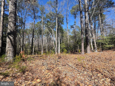 0 Mutiny Dr Greenbackville, VA 23356