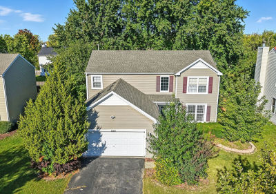 1303 Bridgehampton Dr Plainfield, IL 60586