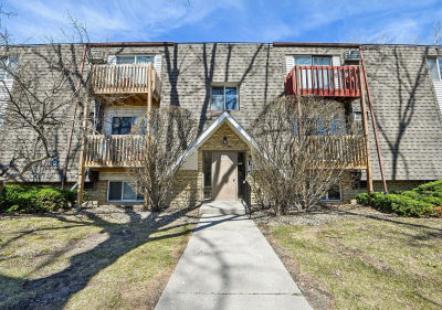 220 Madison St Unit 2A Joliet, IL 60435