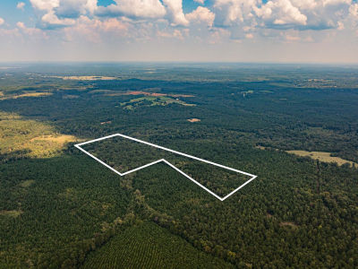 County Road 1582 Avinger, TX 75630