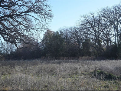 137 Aslan Rd Poolville, TX 76487