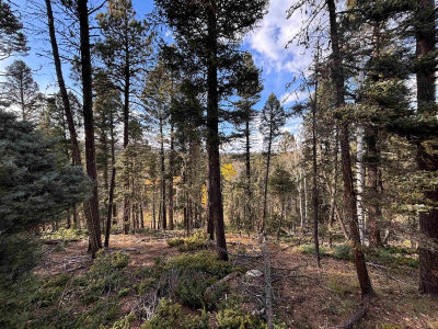 11 Lakewood Way Angel Fire, NM 87710