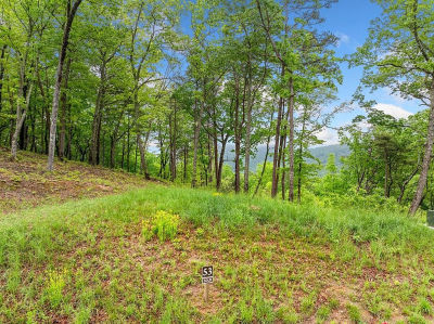LOT 53 High Summit Dr Talking Rock, GA 30175