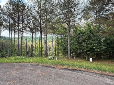 LOT 9 Eastview Trl Ellijay, GA 30536