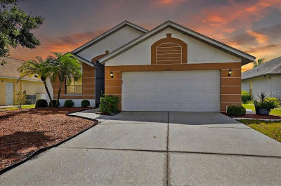 1828 E Del Webb Blvd Sun City Center, FL 33573