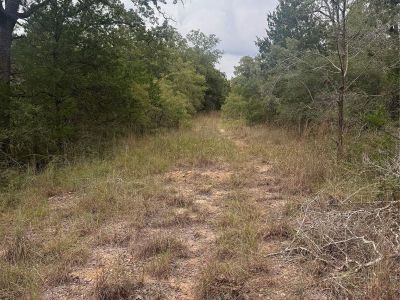 6 Spruce St Paige, TX 78659