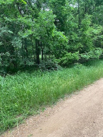 LOT 812 Kaukonahua Ln Bastrop, TX 78602