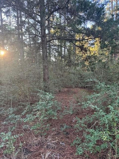 107 Lake Point Way Bastrop, TX 78602