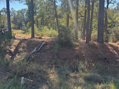 97 Kaelepulu Dr Bastrop, TX 78602