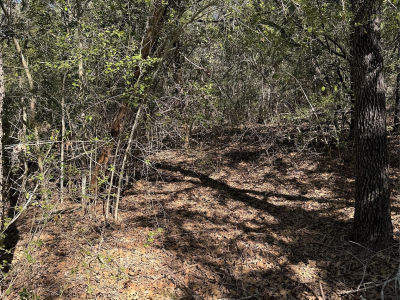 195 Kaelepulu Dr Bastrop, TX 78602