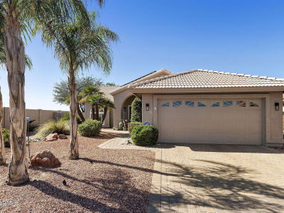 26632 S Nottingham Ct Sun Lakes, AZ 85248