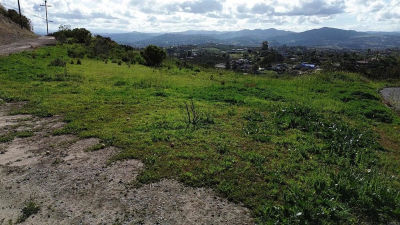 1560 Camino Corto Fallbrook, CA 92028