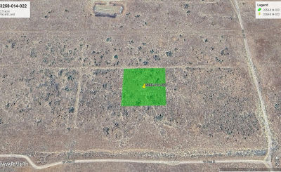 B14 Avenue Vic 156 Stw Lancaster, CA 93536