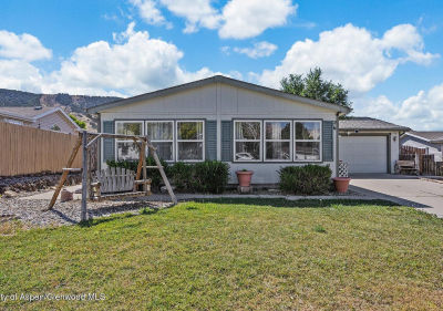 26 Baker Hill Pl Parachute, CO 81635