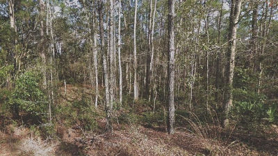 130 S 5th St #9 Palatka, FL 32177