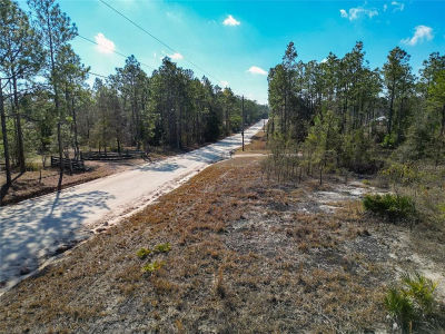 NE 58th St #20 Bronson, FL 32621