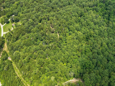 0 Clark Rd Irvine, KY 40336