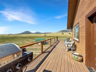 99 Peak Dr Guffey, CO 80820