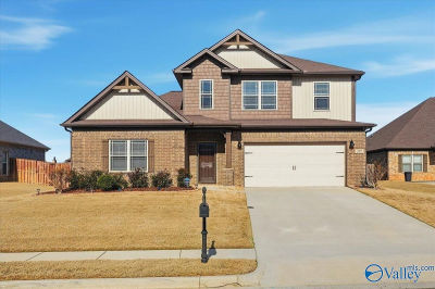 207 Liz Ln Harvest, AL 35749