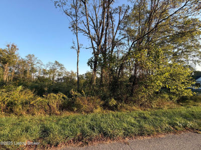 28 Freesia Ct Brandenburg, KY 40108
