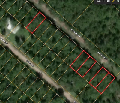 154 Myrtle Mae Dr Livingston, TX 77351