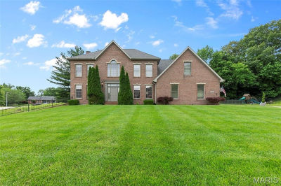 807 Caribou Ct Cape Girardeau, MO 63701