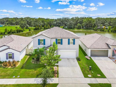 4250 Salt Springs Ln Lakeland, FL 33811