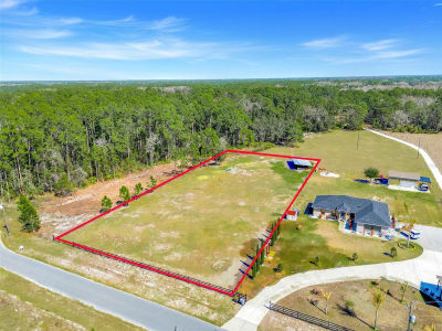 18041 San Juan Ave Polk City, FL 33868
