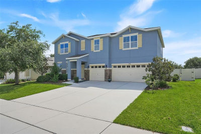 4516 Linwood Trace Ln Clermont, FL 34711