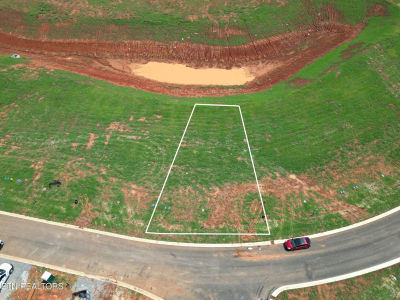 608 Black Bear Cir Loudon, TN 37774