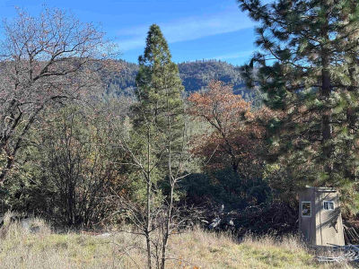 28560 Italian Bar Rd Twain Harte, CA 95383