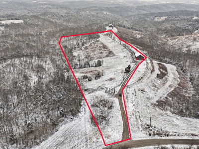 1729 Pinhook Rd Mount Olivet, KY 41064