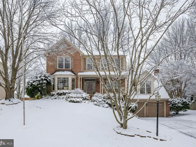 14 Charleston Ct Stafford, VA 22554