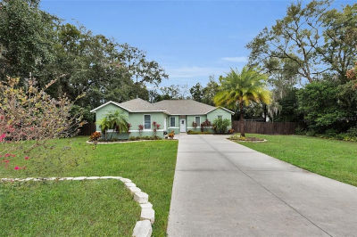 25507 Troon Ave Mount Plymouth, FL 32776