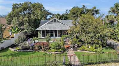 335 N Simpson St Mount Dora, FL 32757