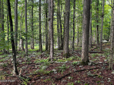 103 Elm Ln Greentown, PA 18426