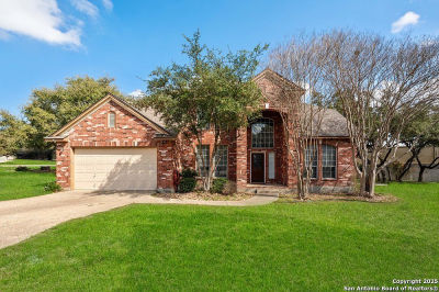20530 Wild Springs Dr San Antonio, TX 78258