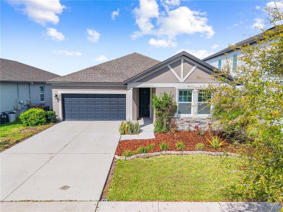 920 Livestock Loop Saint Cloud, FL 34771