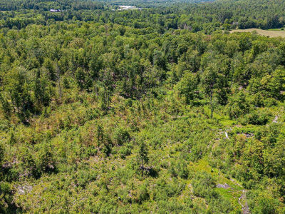 458 Cheshire Tpke #2 Alstead, NH 03602