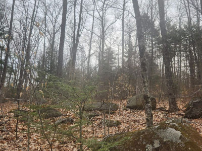 0 Attleboro Mountain Rd #23 & 26 Winchester, NH 03470