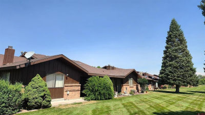1119 Phillips Ct APT A Montrose, CO 81401