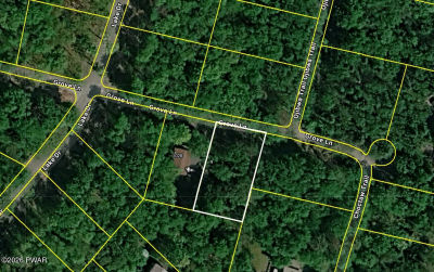 Grove Ln Newfoundland, PA 18445
