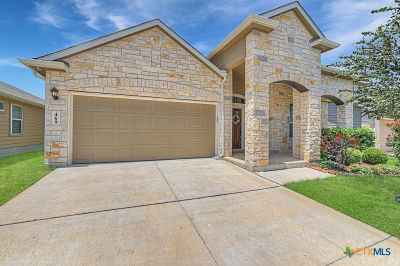 469 Moonvine Way New Braunfels, TX 78130