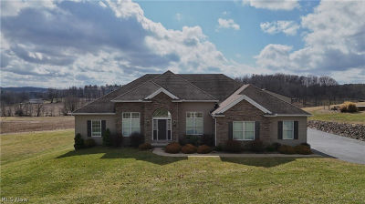 49235 Hickman Rd East Liverpool, OH 43920