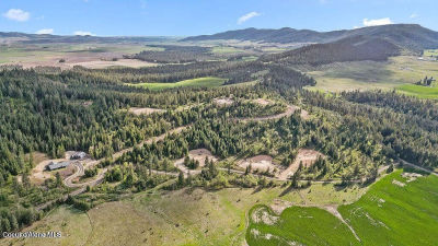 10 Moose Dr Plummer, ID 83851