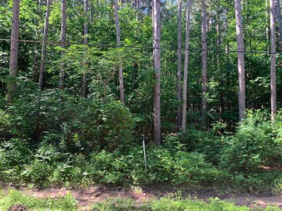 427 Lotus Street, Mosinee, WI, USA